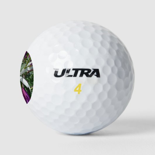 Daisy en Fireweed Wildflower Golfballen (Logo)