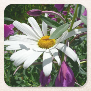 Daisy en Fireweed Wildflower Kartonnen Onderzetters