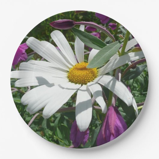 Daisy en Fireweed Wildflower Papieren Bordje (Voorkant)