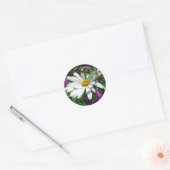 Daisy en Fireweed Wildflower Ronde Sticker (Envelop)