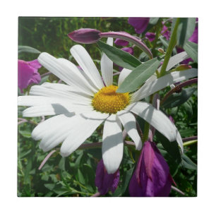 Daisy en Fireweed Wildflower Tegeltje