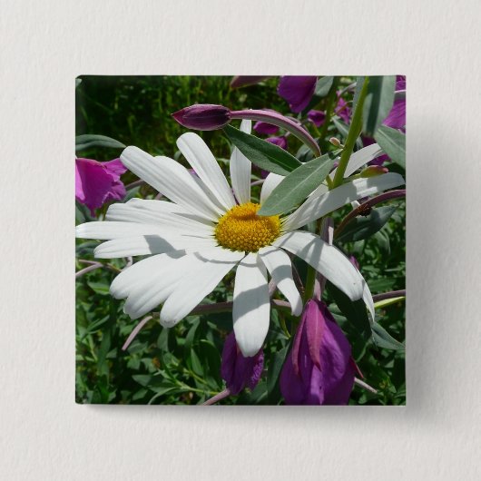 Daisy en Fireweed Wildflower Vierkante Button 5,1 Cm (Voorkant)