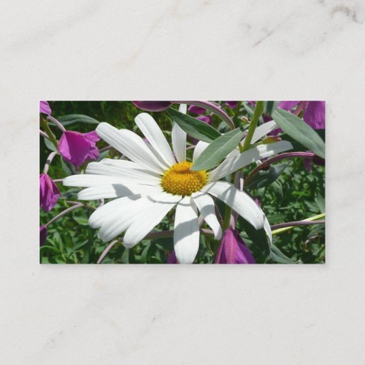 Daisy en Fireweed Wildflower Visitekaartje (Achterkant)