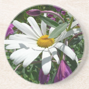Daisy en Fireweed Wildflower Zandsteen Onderzetter