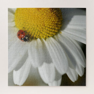 Daisy en Ladybug Legpuzzel