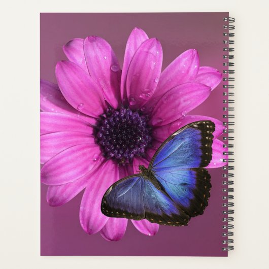 Daisy en Morpho Planner (Achterkant)