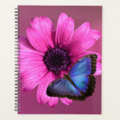 Daisy en Morpho Planner (Voorkant)