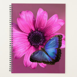 Daisy en Morpho Planner