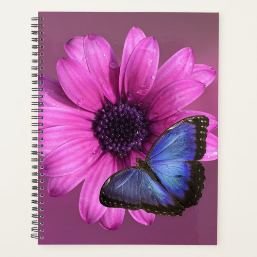 Daisy en Morpho Planner (Voorkant)