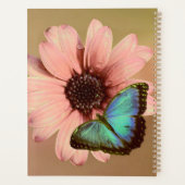 Daisy en Morpho Planner (Achterkant)