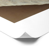 Daisy en Stones Poster (Hoek)