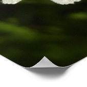 Daisy en Summer Lilac Botanisch Poster (Hoek)