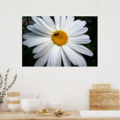 Daisy en The Bee Poster (Keuken)