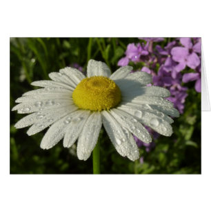 Daisy en Zomer Lila Wildflower