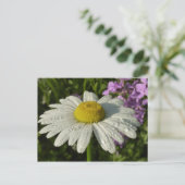 Daisy en Zomer Lila Wildflower Briefkaart (Staand voorkant)