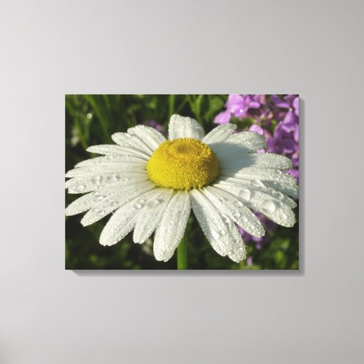 Daisy en Zomer Lila Wildflower Canvas Afdruk (Voorkant)