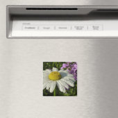 Daisy en Zomer Lila Wildflower Magneet (Insitu (Vaatwasser))