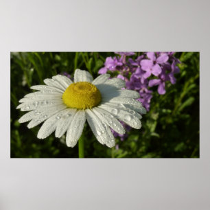 Daisy en Zomer Lila Wildflower Poster