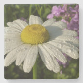 Daisy en Zomer Lila Wildflower Stenen Onderzetter (Voorkant)