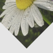 Daisy en Zomer Lila Wildflower Tissuepapier (Detail)