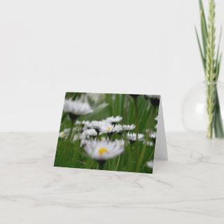 Daisy Field Card Kaart