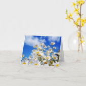 Daisy Field Kaart (Gele Bloem)