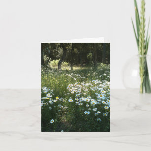 Daisy Field Personalized Wenskaart Kaart