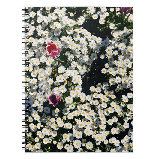 Daisy Field Spiraal Notebook Notitieboek (Voorkant)