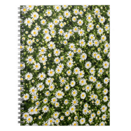 Daisy Field Spiral Notebook Notitieboek