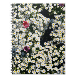 Daisy Field Spiral Notebook Notitieboek