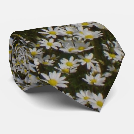 Daisy Field Stropdas (Opgerold)