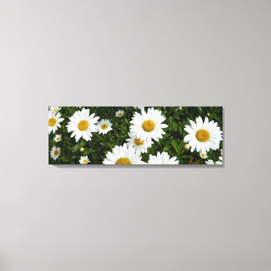 Daisy Field Wrapped Canvas Print (Voorkant)