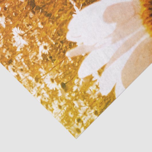 daisy fields-tissuepapier tissuepapier (Detail)