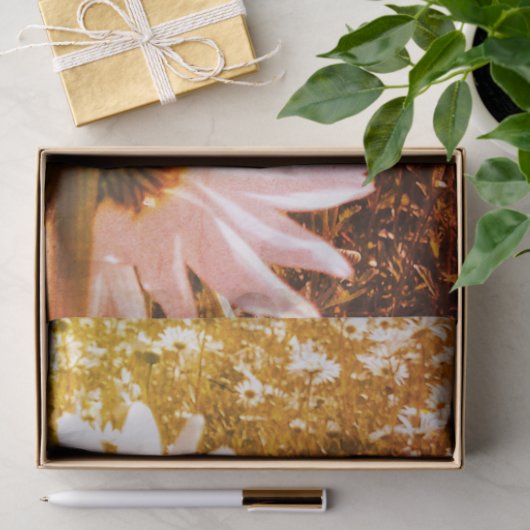 daisy fields-tissuepapier tissuepapier (Geschenk)