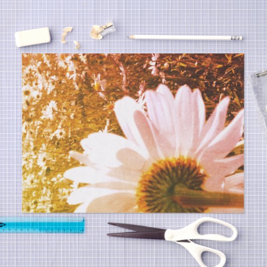 daisy fields-tissuepapier tissuepapier (Craft)