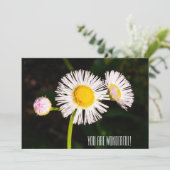 Daisy fleabane flower. Je bent geweldig! Bedankkaart (Staand voorkant)