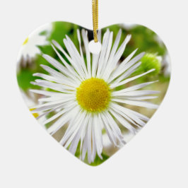 Daisy Fleabane Keramisch Ornament