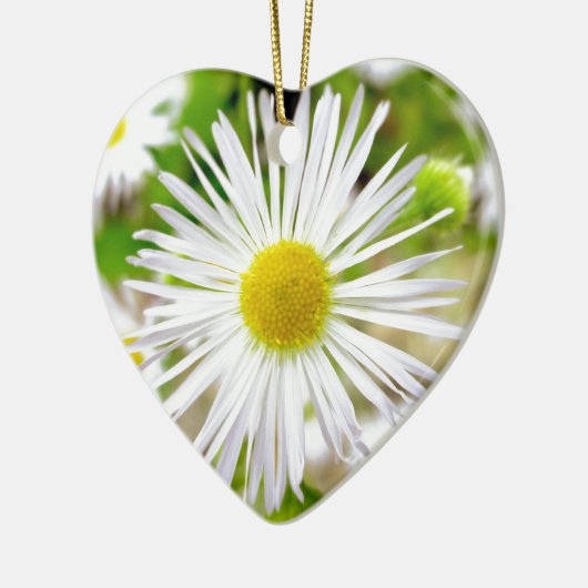 Daisy Fleabane Keramisch Ornament (Links)