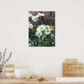 Daisy Fleabane Poster (Keuken)