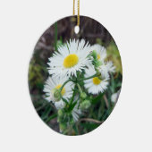 Daisy Fleabane Round 2-sided Photo Ornament (Rechts)