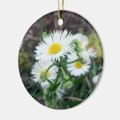 Daisy Fleabane Round 2-sided Photo Ornament (Links)