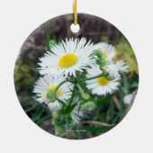 Daisy Fleabane Round 2-sided Photo Ornament (Achterkant)