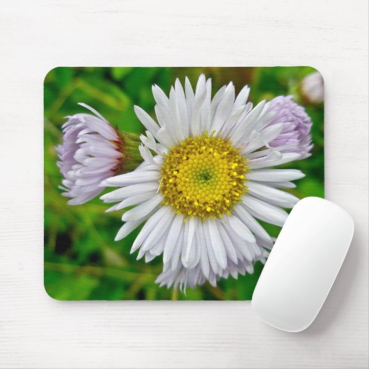 Daisy Fleabane Wildflower Mousepad Muismat (Met muis)
