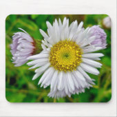 Daisy Fleabane Wildflower Mousepad Muismat (Voorkant)