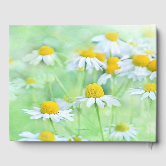  Daisy Floral, het Berichten van de Doopvont van h Gastenboek (Achterkant)