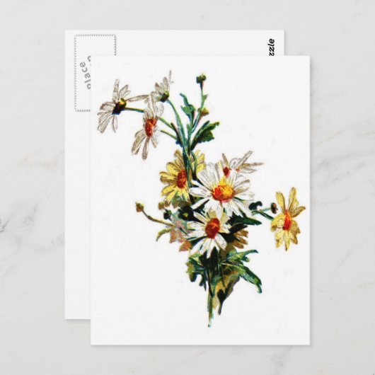 * Daisy* Flower Art Briefkaart (Voorkant / Achterkant)