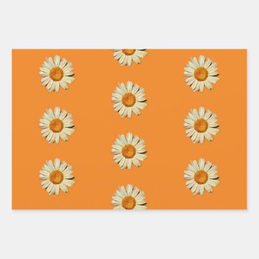 Daisy Flower Art Wrapping Craft Paper (Voorkant 2)