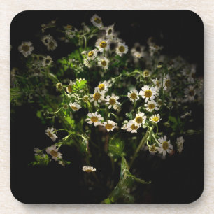 Daisy, Flower, Bellis perennis Bier Onderzetter