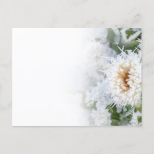 Daisy flower bevroren in wintersneeuw en ijs uitnodiging briefkaart