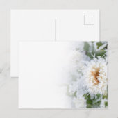Daisy flower bevroren in wintersneeuw en ijs uitnodiging briefkaart (Voorkant / Achterkant)